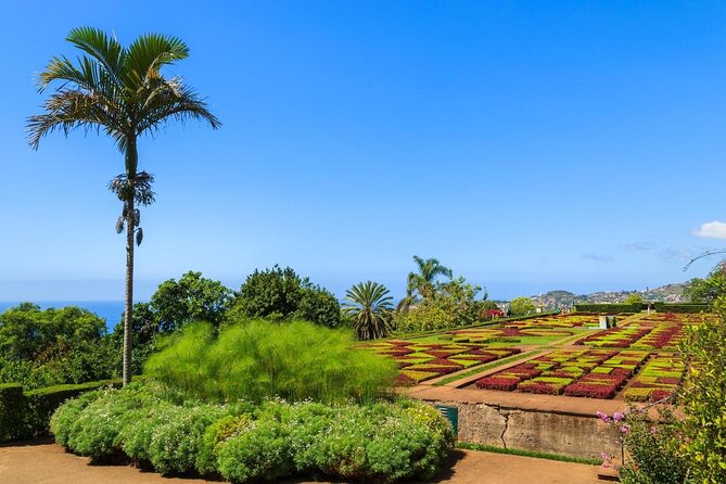 Madeira Highlights: Toboggan, Garden & Cable Car (All-Inclusive) - Key highlights to pay attention to