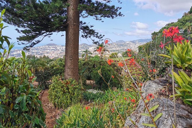 Madeira Highlights: Toboggan, Garden & Cable Car (All-Inclusive) - Stop 2: Monte Palace Madeira Garden for rare plants and a softer pace (about 1 hour)