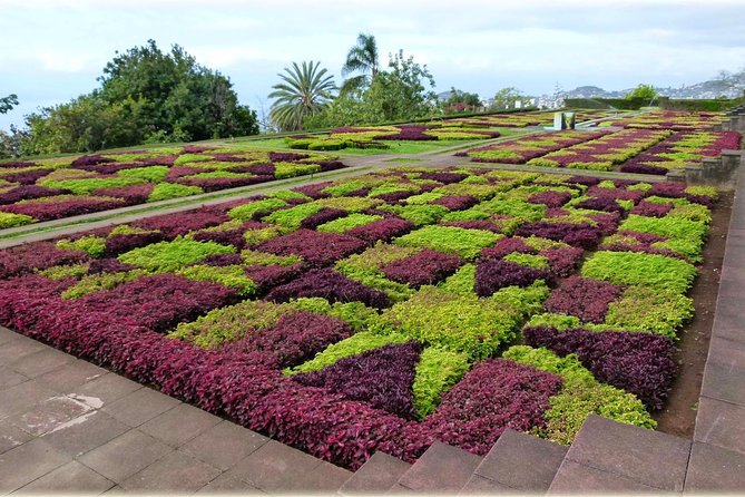 Madeira Highlights: Toboggan, Garden & Cable Car (All-Inclusive) - Stop 3: Nossa Senhora do Monte toboggan ride for pure Madeira weirdness (15 minutes, tickets included)