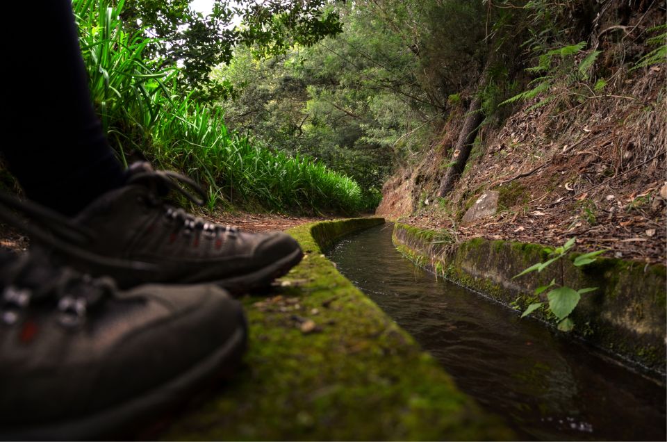 Madeira Island: Caldeirão Verde Levada Walk - Key highlights you’ll care about