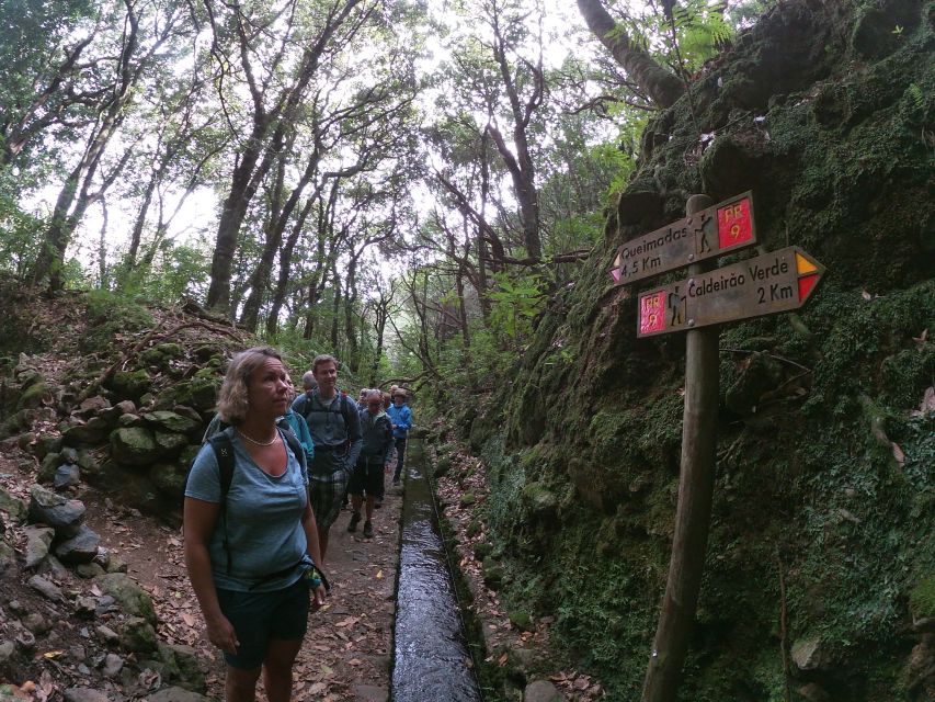 Madeira Island: Caldeirão Verde Levada Walk - What to pack: shoes, rain gear, and the small things that matter