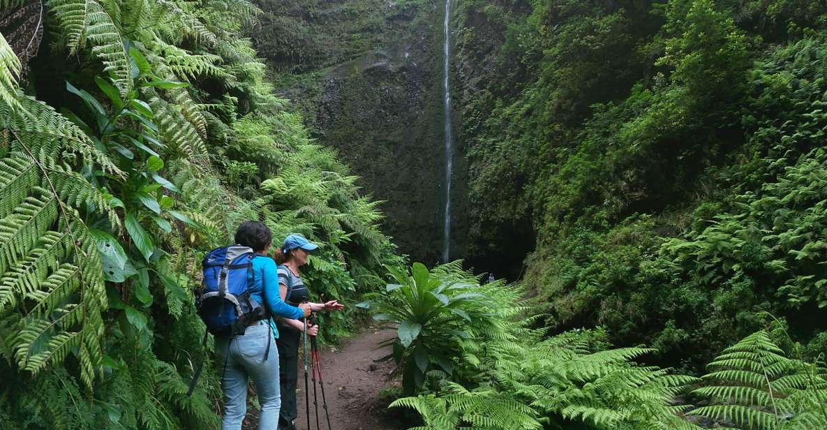Madeira Island: Caldeirão Verde Levada Walk - Price value: $54 plus the 3€ trail maintenance fee