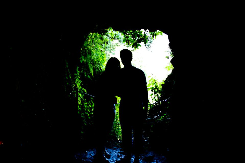 Madeira Island: Caldeirão Verde Levada Walk - Queimadas trail start: levada walking in the Laurissilva