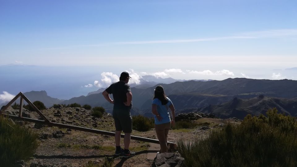 Madeira Island: Full-Day Guided Tour of Eastern Madeira - Logistics that matter: pickup windows, small vehicles, and timing