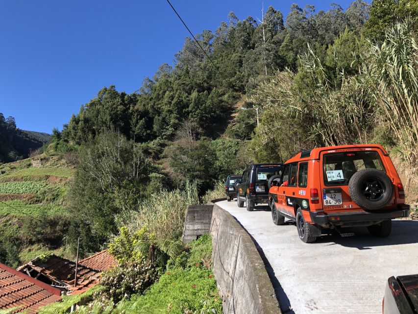 Madeira Island: Full-Day Guided Tour of Eastern Madeira - Eastern Madeira in one packed day: what the 8 hours really feel like