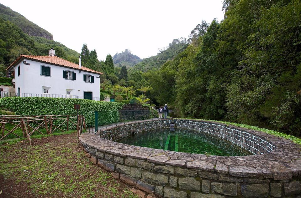 Madeira Island: Full-Day Guided Tour of Eastern Madeira - Ribeiro Frio and the Laurissilva forest: forest air, trout ponds, and bird habitat