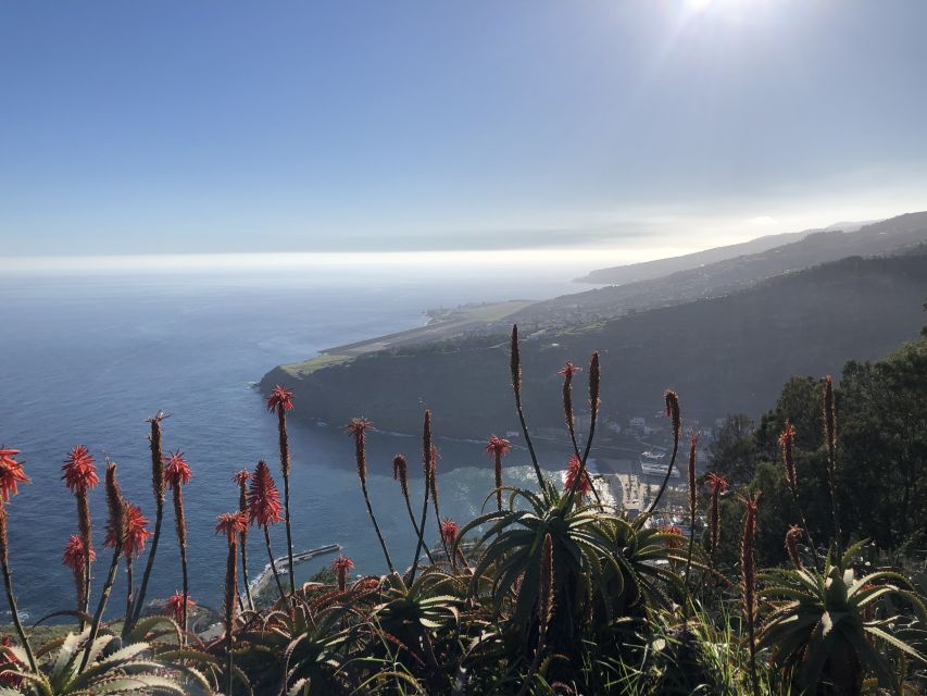 Madeira Island: Full-Day Guided Tour of Eastern Madeira - Photo stops that keep the day moving: Guindaste and Ponta do Rosto