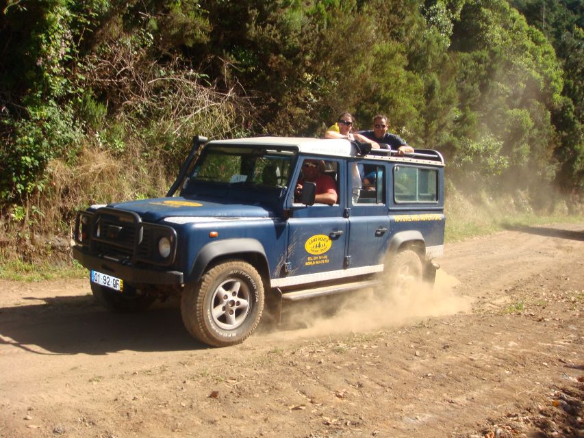 Madeira Island Full-Day Jeep Tours - Choosing Your Route: West vs East vs Northeast vs Southwest