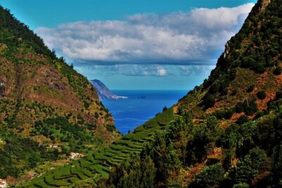 Madeira Island Private Wine Full-day Tour in all terrain vehicle - Getting going from Funchal: pickup, timing, and your 4x4 ride