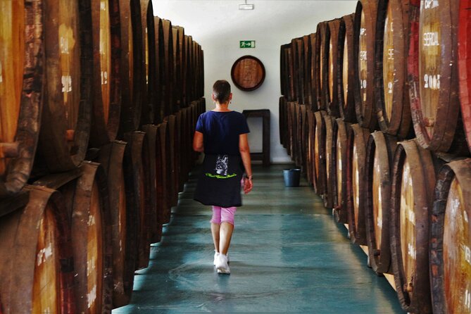 Madeira Island Private Wine Full-day Tour in all terrain vehicle - Quinta do Barbusano: the vineyard stop that slows the day down