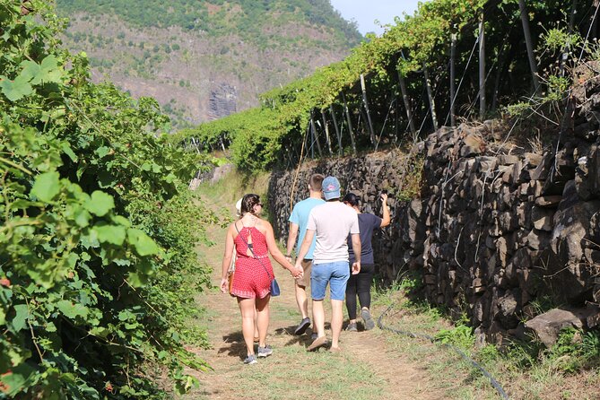 Madeira Island Private Wine Full-day Tour in all terrain vehicle - Estreito de Câmara de Lobos: terraced vineyards and old-road charm