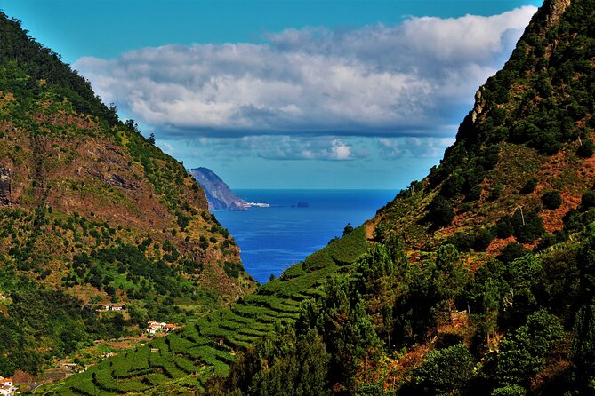 Madeira Island Private Wine Full-day Tour in all terrain vehicle - Getting going from Funchal: pickup, timing, and your 4x4 ride