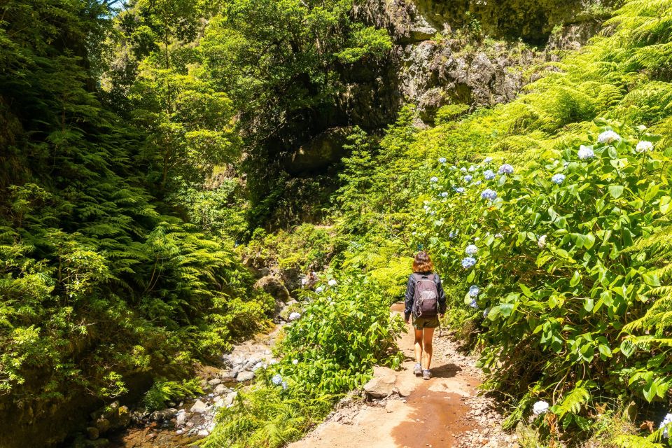 Madeira: Jungle Fever Levada Caldeirao Verde Hike Santana - Key Highlights at a Glance