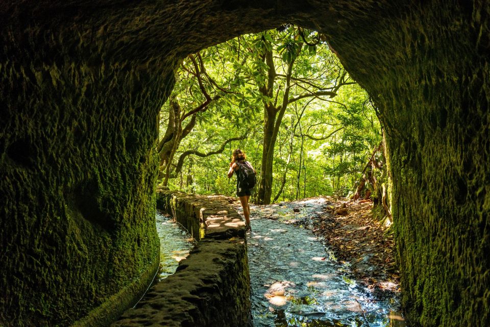 Madeira: Jungle Fever Levada Caldeirao Verde Hike Santana - Why Caldeirão Verde Feels Like a Jungle Movie (But in Real Life)