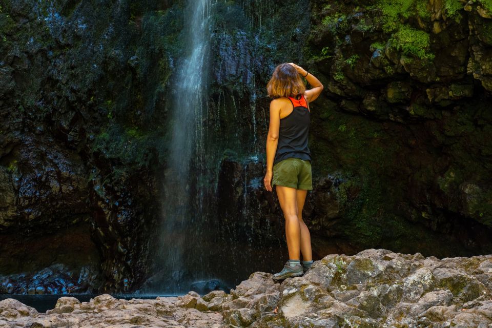 Madeira: Jungle Fever Levada Caldeirao Verde Hike Santana - Coffee at Casa das Queimadas: How the Morning Gets You Ready