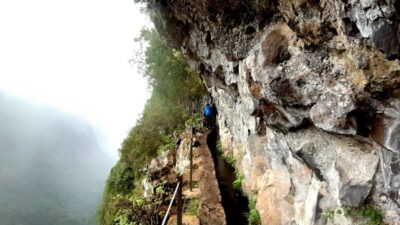 Madeira: Jungle Fever Levada Caldeirao Verde Hike Santana - Getting There: Pickups in Funchal, Lido, and Caniço + the Electric-Car Ride
