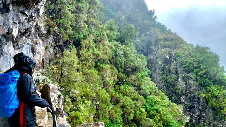 Madeira: Jungle Fever Levada Caldeirao Verde Hike Santana - The Main Event: Levada Caldeirão Verde (4.5 Hours of Waterfalls, Tunnels, and Steps)