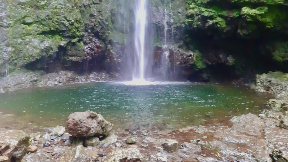 Madeira: Jungle Fever Levada Caldeirao Verde Hike Santana - Price and Value: Is $74 Worth It for This 8-Hour Day?