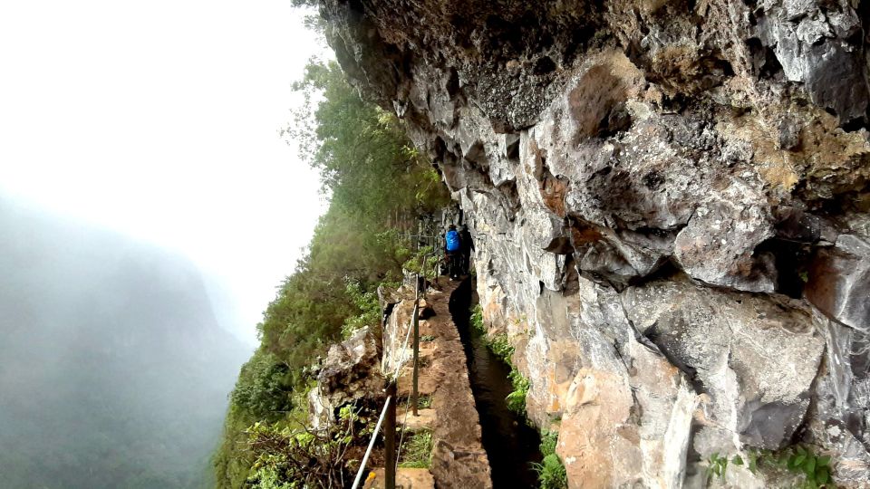 Madeira: Jungle Fever Levada Caldeirao Verde Hike Santana - Getting There: Pickups in Funchal, Lido, and Caniço + the Electric-Car Ride