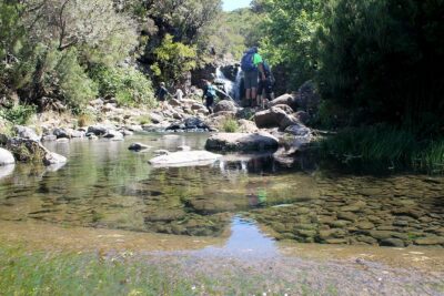 Madeira Lakes - Levada do Alecrim - Lagoa do Vento: rock pools, carved stone, and waterfall energy