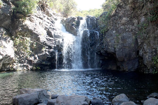 Madeira Lakes - Levada do Alecrim - Price and value: does $52.09 make sense here?
