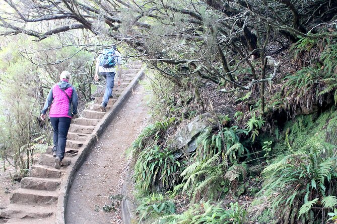 Madeira Lakes - Levada do Alecrim - Who should book this hike (and who should skip it)