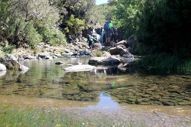 Madeira Lakes - Levada do Alecrim - Lagoa do Vento: rock pools, carved stone, and waterfall energy