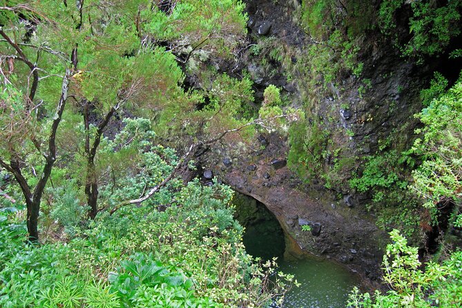 Madeira Levada Walk - Rabacal Lakes and Fountains - Getting to Rabacal: The Simple, Cost-Effective Way from Funchal