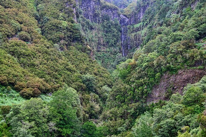 Madeira Levada Walk - Rabacal Lakes and Fountains - Following the Water Channel: Flora, Water, and Narrow Trail Reality