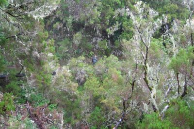 Madeira Levada Walk - Rabacal Lakes and Fountains - The Big Moment: 25 Fontes and Cascada da Risco
