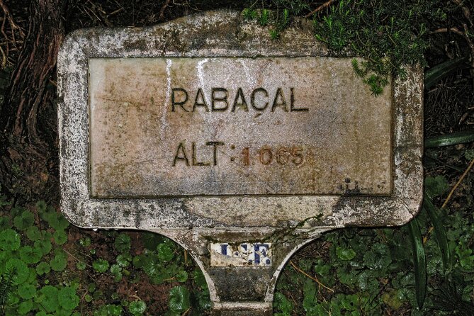 Madeira Levada Walk - Rabacal Lakes and Fountains - Price and Value: What $52.86 Buys You (and What It Doesn’t)