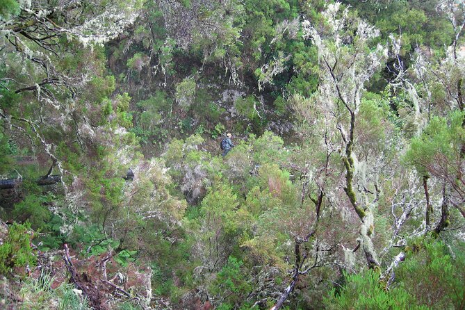 Madeira Levada Walk - Rabacal Lakes and Fountains - The Big Moment: 25 Fontes and Cascada da Risco