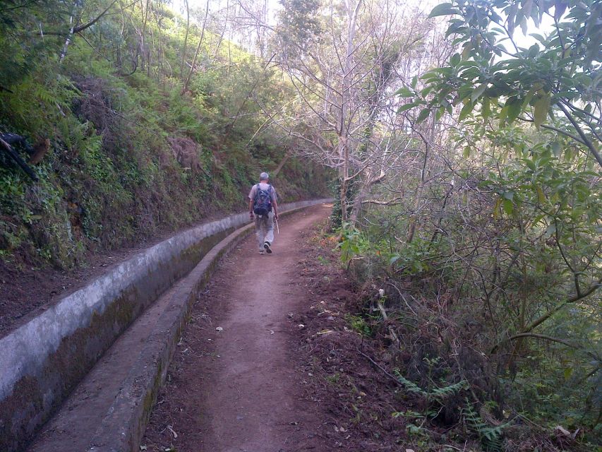 Madeira: Levado do Norte 2-Hour Hiking Tour - Cabo Girão to Boa Morte: What the 7 km Hike Really Covers
