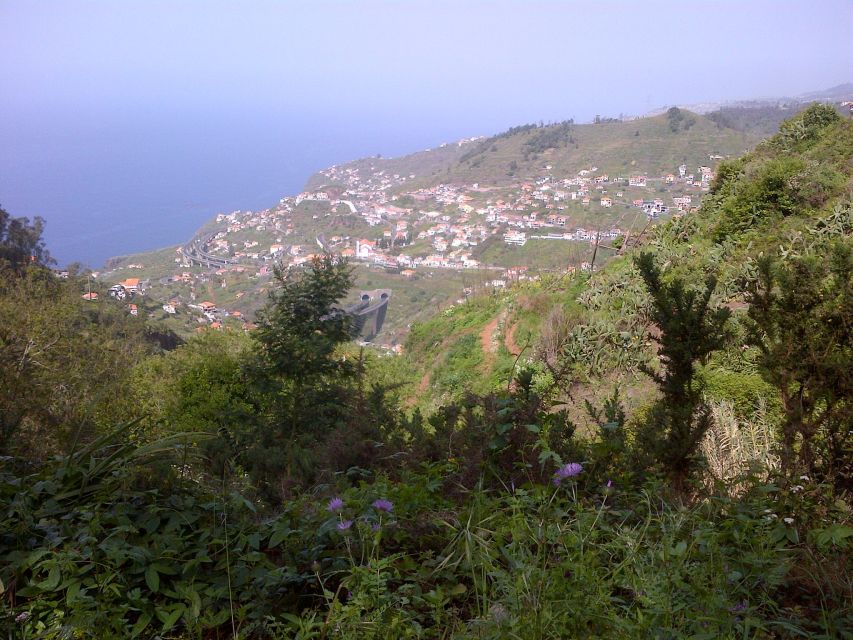 Madeira: Levado do Norte 2-Hour Hiking Tour - The Views Over Câmara de Lobos and Campanário