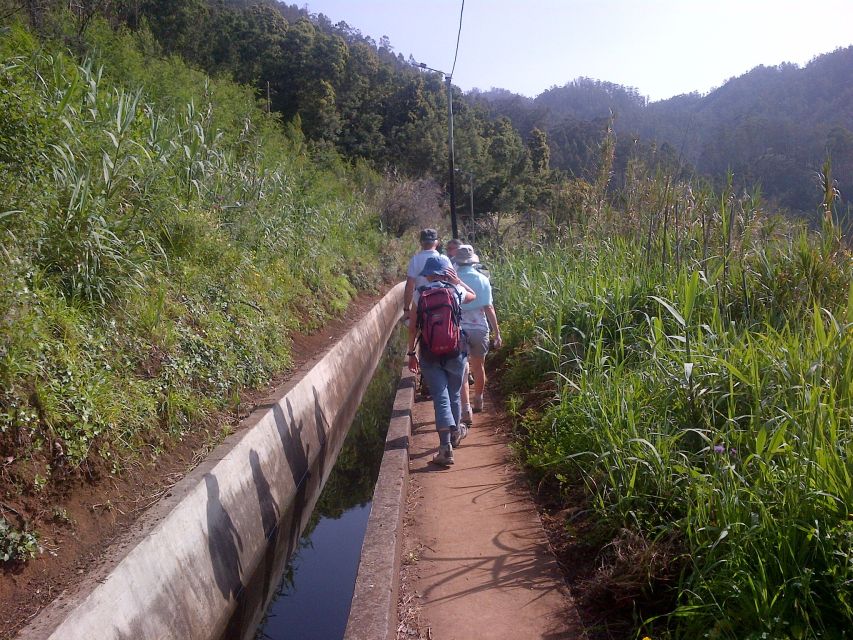 Madeira: Levado do Norte 2-Hour Hiking Tour - Pace, Footing, and What to Pack for an Easy Day