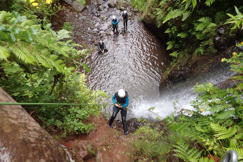 Madeira: Level-1 Canyoning Adventure - Key highlights worth planning for