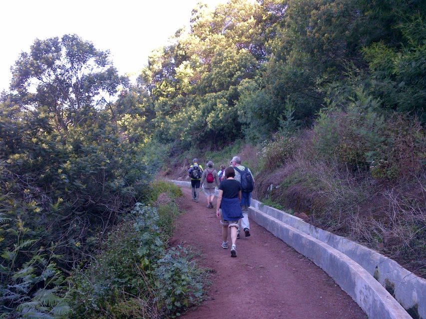 Madeira: Maroços Landscapes 2.5-Hour Guided Walk - Entering the Levada dos Maroços route: easy walking with real variety