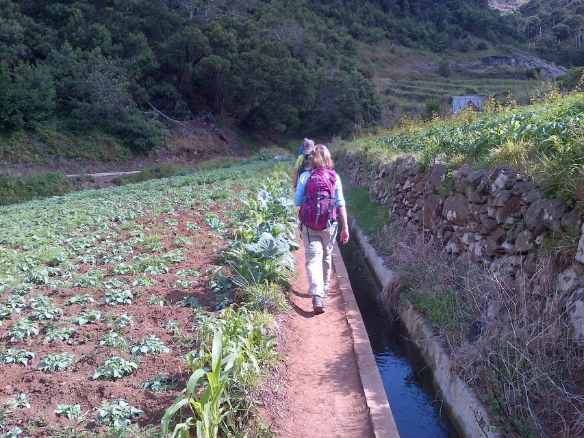 Madeira: Maroços Landscapes 2.5-Hour Guided Walk - Maroços village and terraced farms above Machico