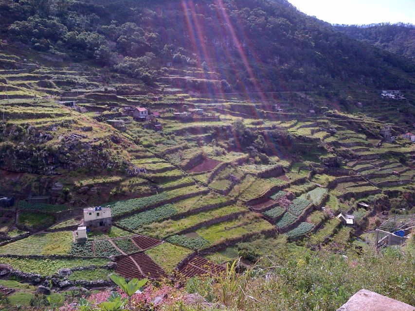 Madeira: Maroços Landscapes 2.5-Hour Guided Walk - Buying fruit from producers: how to snack like a local (not a tourist)