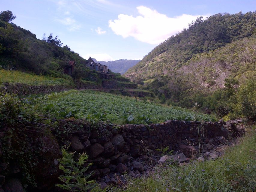 Madeira: Maroços Landscapes 2.5-Hour Guided Walk - How the guided pace really works (and how to get more from it)