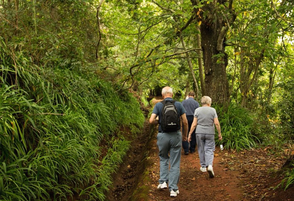 Madeira: Mini-Combo East Challenge: Jeep Safari + Levada - Price and value: $55 for a jeep ride plus a walk