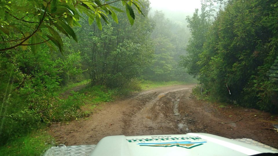 Madeira: Mini-Combo East Challenge: Jeep Safari + Levada - The smart setup: Jeep safari plus a short levada walk