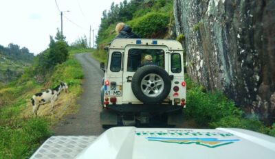 Madeira: Mini-Combo East Challenge: Jeep Safari + Levada - Getting oriented quickly in the pickup window