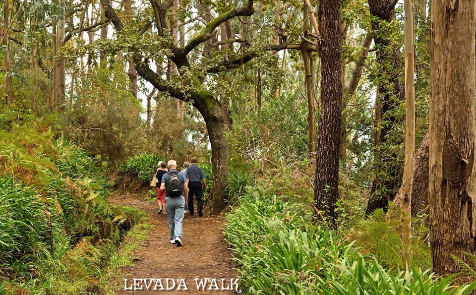 Madeira: Mini-Combo East Challenge: Jeep Safari + Levada - Machico viewpoint: ending where history first touched