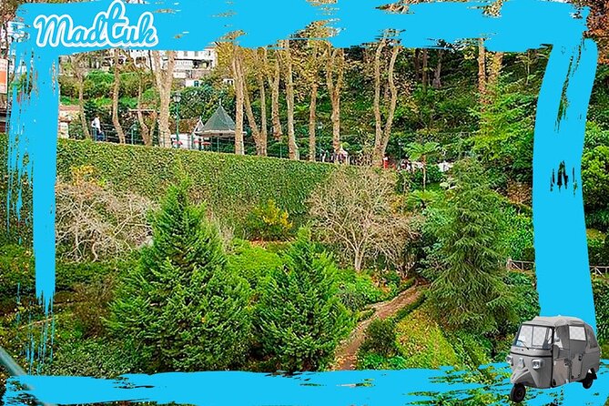 Madeira Monte Tobbogans and Old Town Tuk Tuk Tour by MadTuk - Pickup, timing, and the small details that matter
