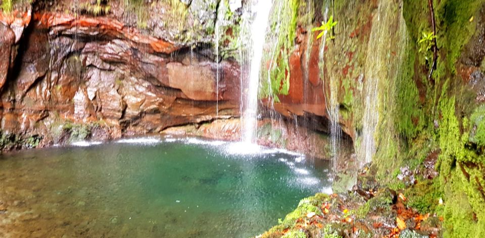 Madeira: Mountain Walk with Lagoon and Waterfalls - Levada das 25 Fontes: What the Path Really Feels Like