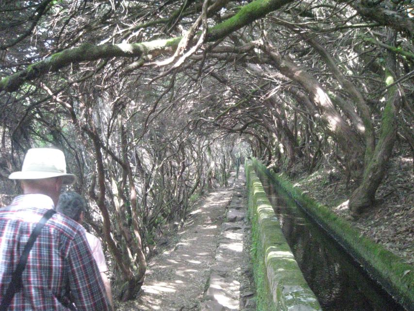 Madeira: Mountain Walk with Lagoon and Waterfalls - Pacing, Group Size, and Why Start Times Can Shift