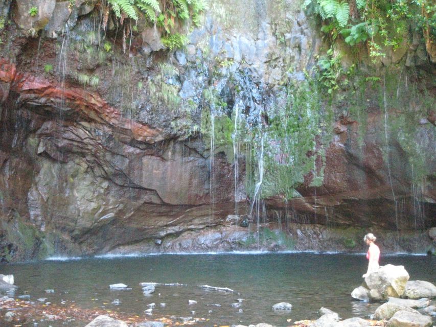 Madeira: Mountain Walk with Lagoon and Waterfalls - Lunch at the Lagoon: A Worthwhile Break, With a Catch