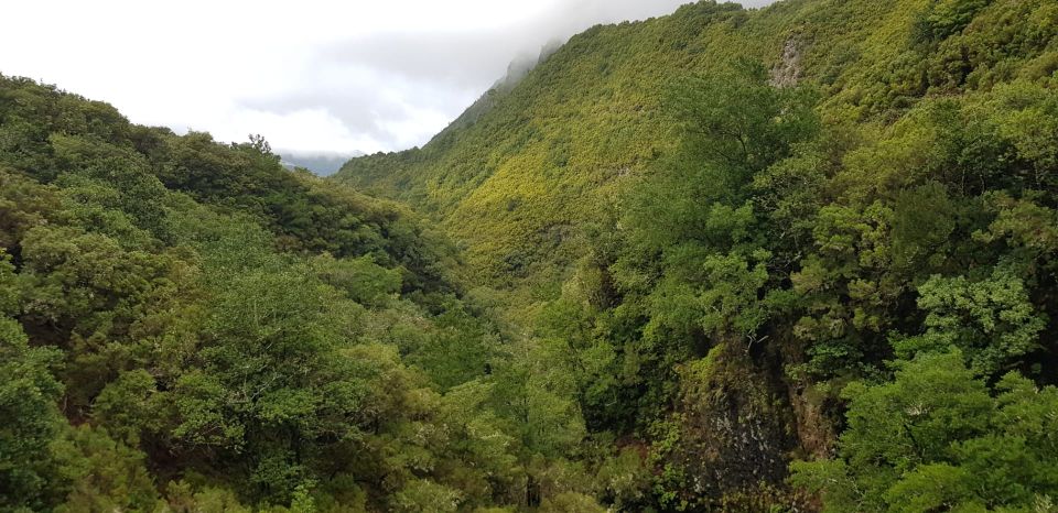 Madeira: Mountain Walk with Lagoon and Waterfalls - What to Bring for Comfort on Madeira’s Water Paths