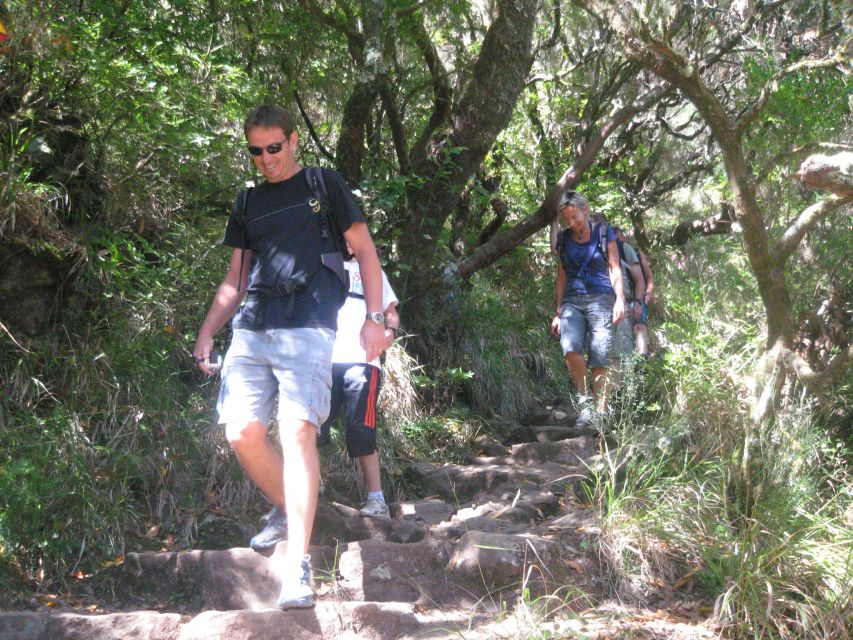 Madeira: Mountain Walk with Lagoon and Waterfalls - Price and Value: Does $55 Make Sense for an 8-Hour Day?